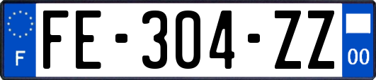 FE-304-ZZ