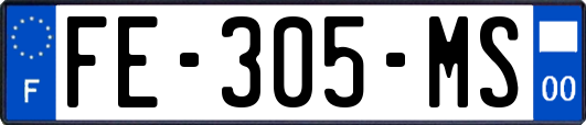 FE-305-MS