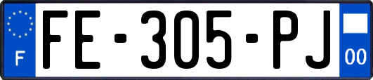 FE-305-PJ