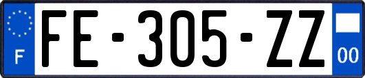 FE-305-ZZ