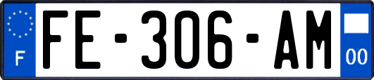 FE-306-AM