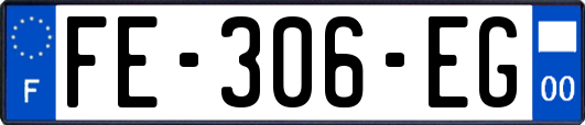 FE-306-EG