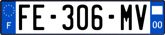 FE-306-MV