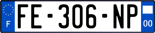 FE-306-NP