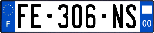 FE-306-NS