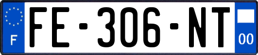 FE-306-NT