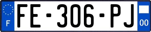 FE-306-PJ