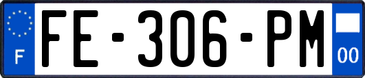 FE-306-PM