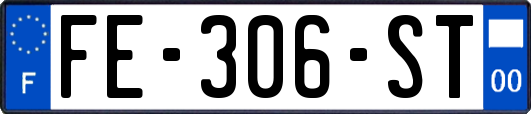 FE-306-ST