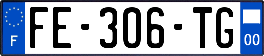 FE-306-TG