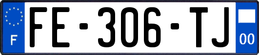 FE-306-TJ