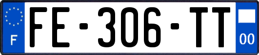 FE-306-TT