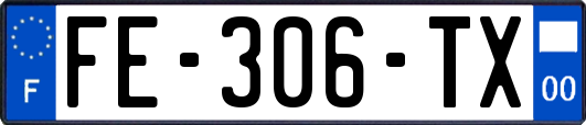 FE-306-TX