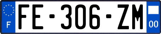 FE-306-ZM