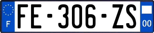 FE-306-ZS