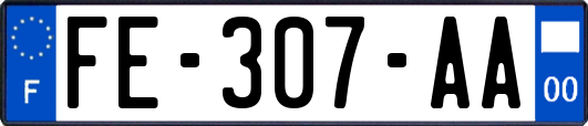 FE-307-AA