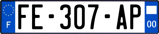 FE-307-AP