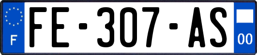 FE-307-AS