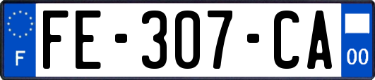 FE-307-CA