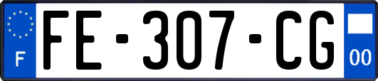 FE-307-CG