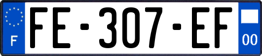 FE-307-EF