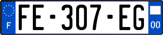 FE-307-EG