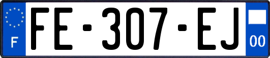 FE-307-EJ