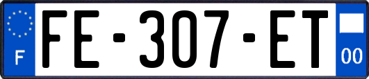 FE-307-ET