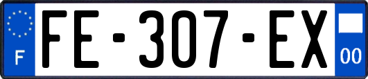 FE-307-EX