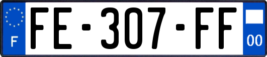 FE-307-FF