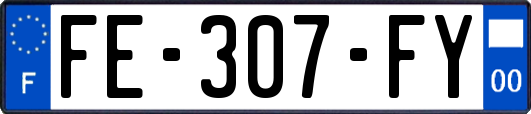 FE-307-FY
