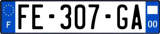 FE-307-GA
