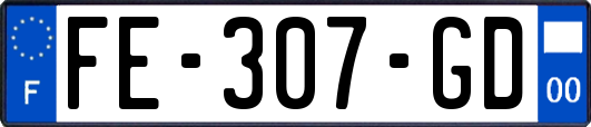 FE-307-GD