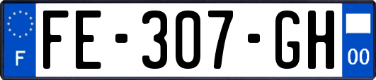 FE-307-GH