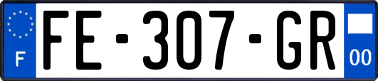 FE-307-GR