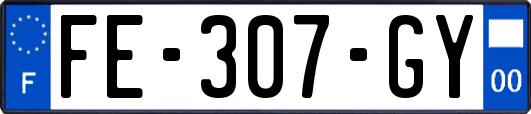 FE-307-GY
