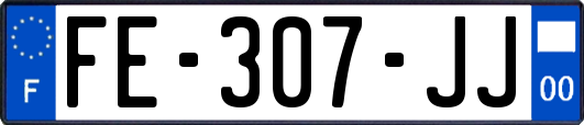 FE-307-JJ