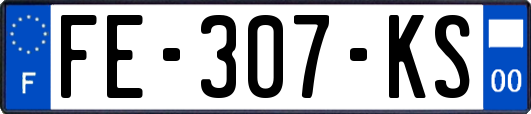 FE-307-KS