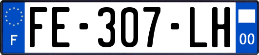 FE-307-LH