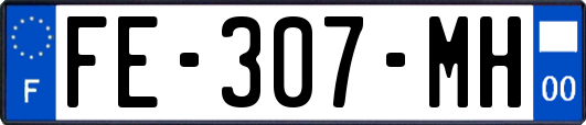 FE-307-MH