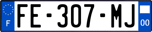 FE-307-MJ