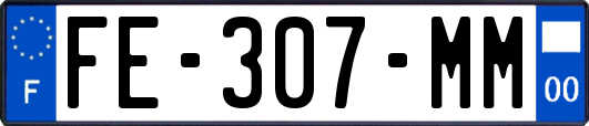 FE-307-MM