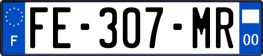 FE-307-MR