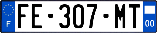FE-307-MT