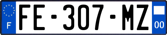 FE-307-MZ