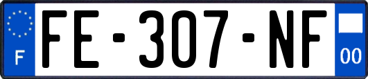 FE-307-NF