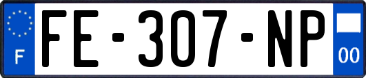 FE-307-NP