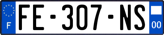 FE-307-NS