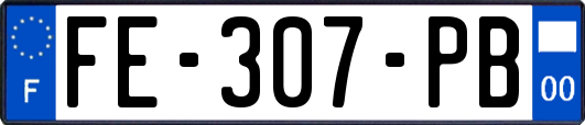 FE-307-PB