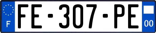 FE-307-PE